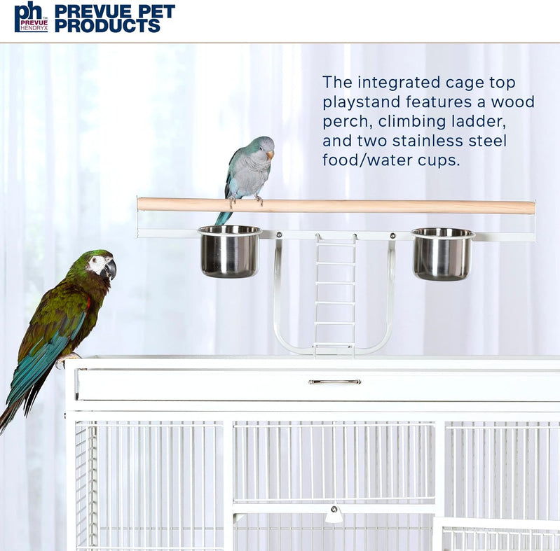 Pet Products Wrought Iron Select Bird Cage 3154C, Chalk White, 36-Inch by 24-Inch by 66-Inch